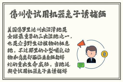锵锵锵锵锵锵铜